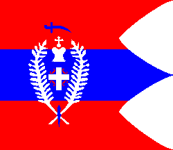 [Flag from the Valjevo Museum]
