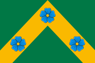 Prionezhsky District flag