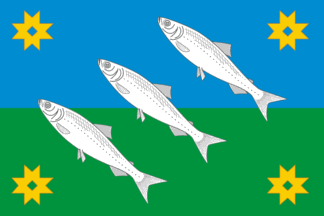 Muezerskoe flag