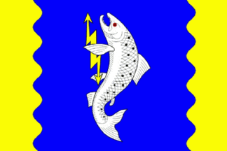 Salminskoe flag