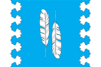 Flag of Shaimurzinskoe