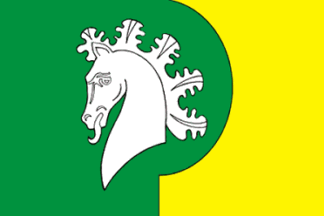 Flag of Sherautskoe