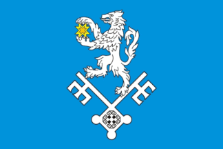Flag of Apnerskoe