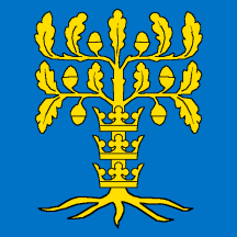 [flag of Blekinge county]