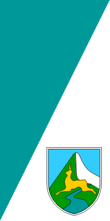 [Flag of Bovec]