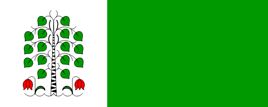 [Flag of Brezovica]