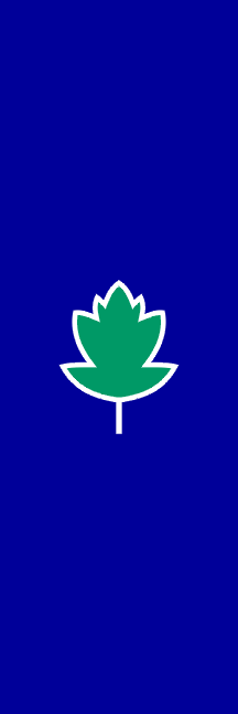 [Flag of Kobilje]