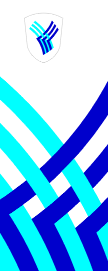 [Flag of Medvode]