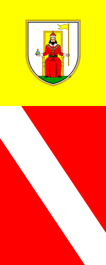 [Vertical flag of Novo mesto]