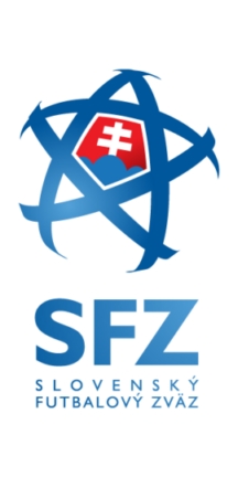 Slovakia - sports flags