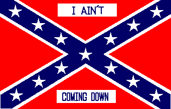 [I Ain't Coming Down flag]