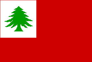 [New England flag ]