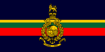 [branch of service flags]