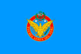 [air force flag]